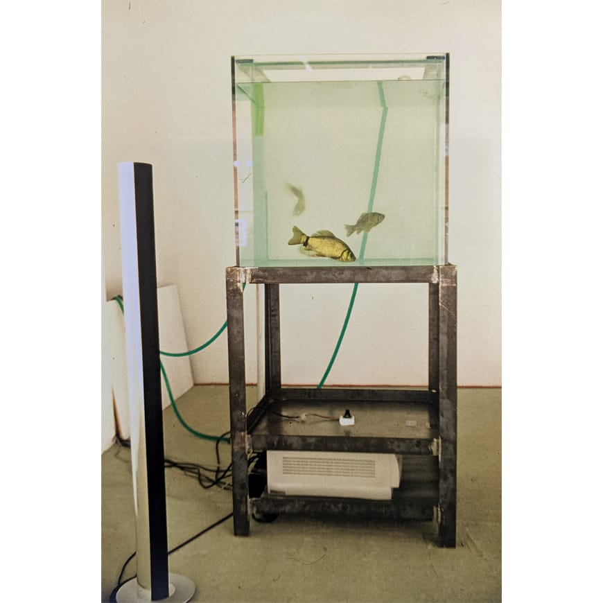 Fish tank and green tubes on a metal stand 