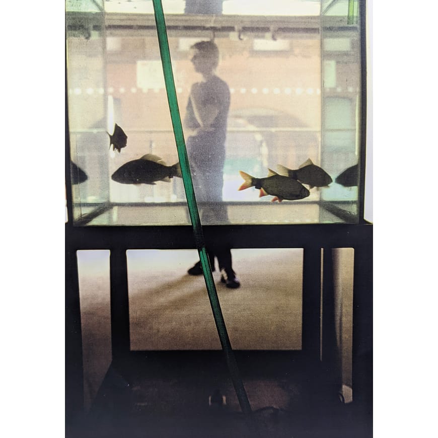 Standing figure seen through fish tank on a metal stand 