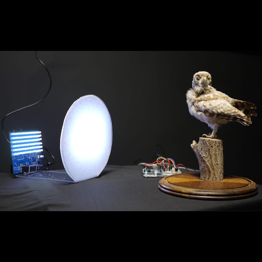 Taxidermy bird on stand, SAD light and electronics on a black background