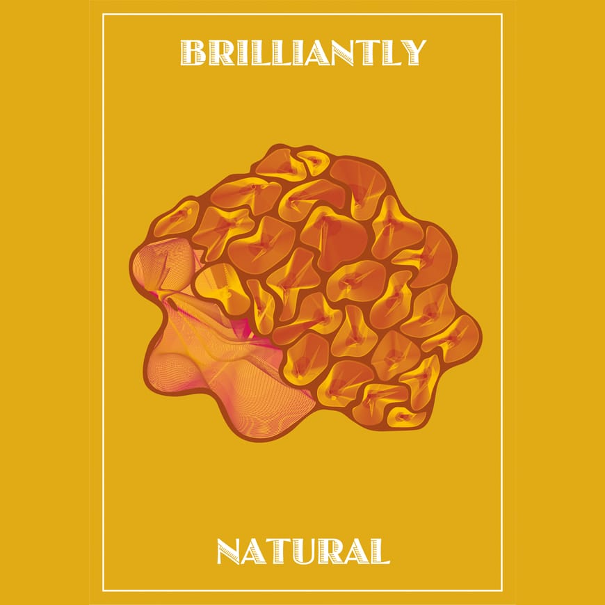 Poster with text reading Brilliantly Natural in white font on yellow background, brown and orange brain-like shape in centre