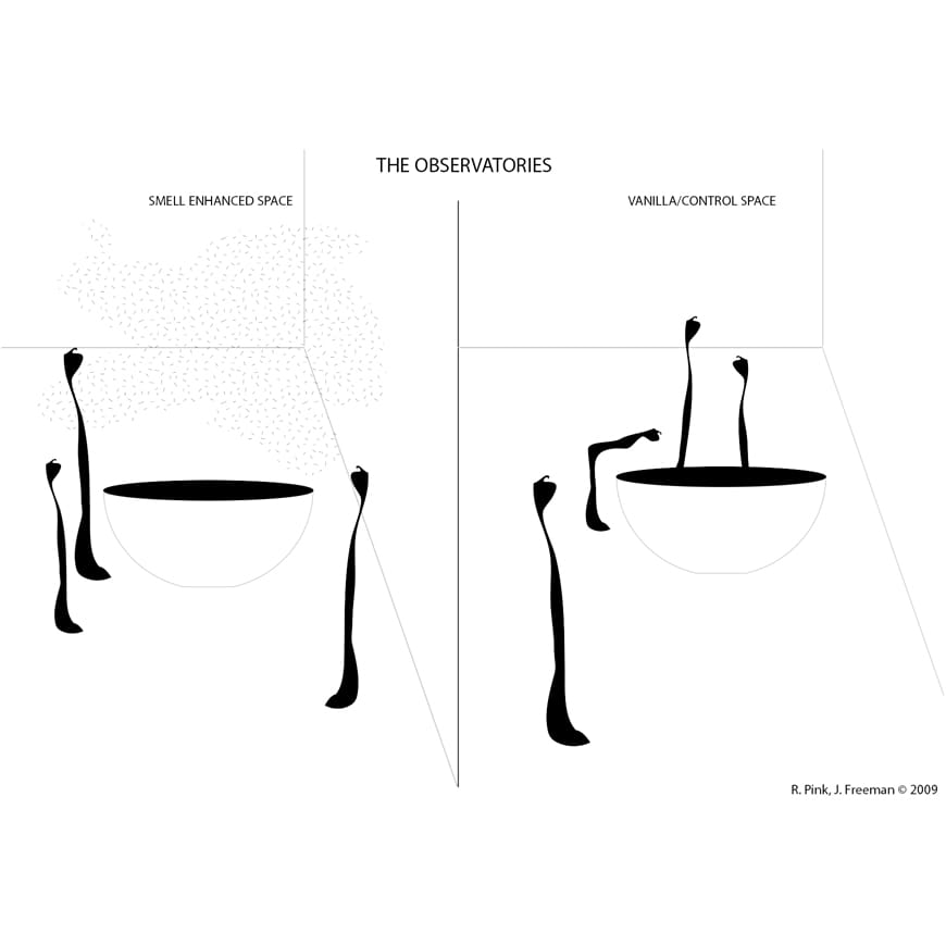 Diagram showing visitors leaning into large bowls in control space and smell enhanced space