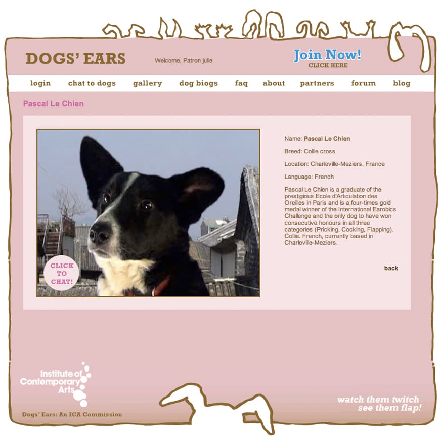 Website page with close-up of black and white dog
