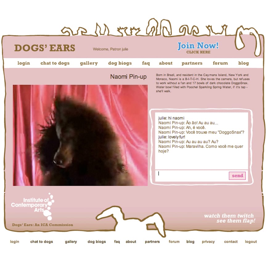 Website page with photo of black dog against a pink curtain