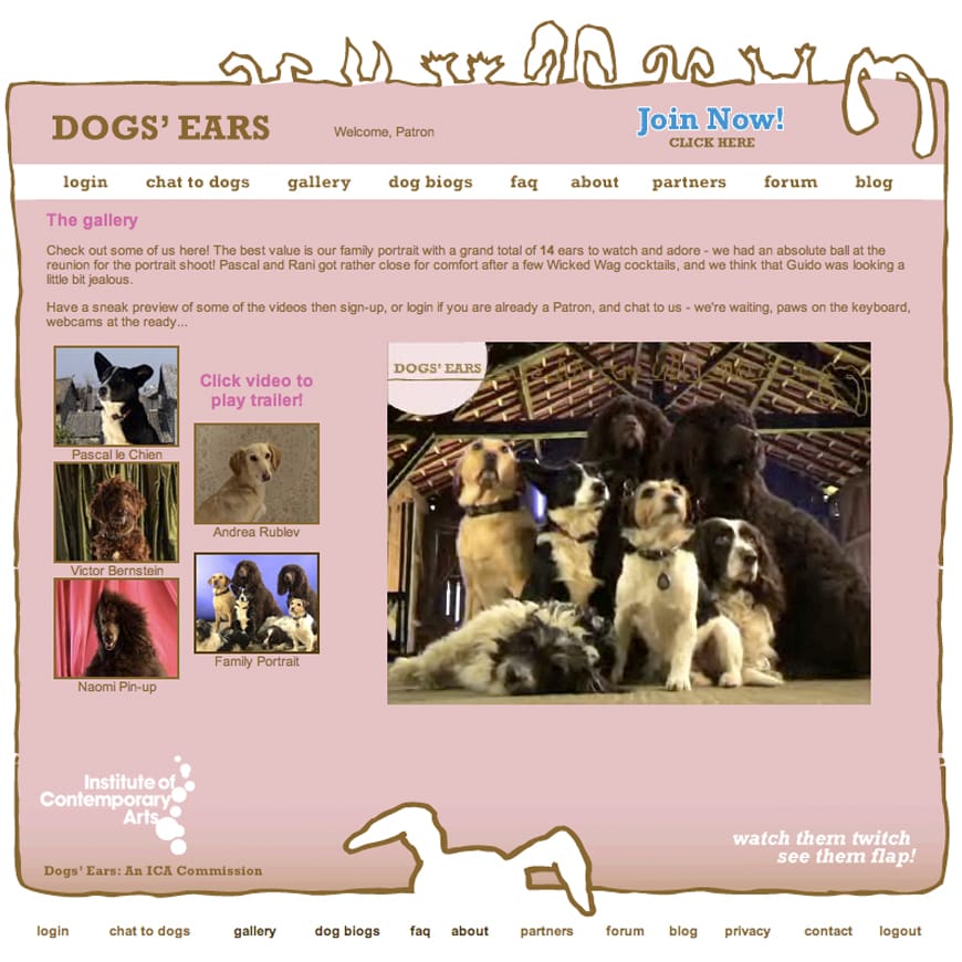 Website page with photos of various dogs, some in groups